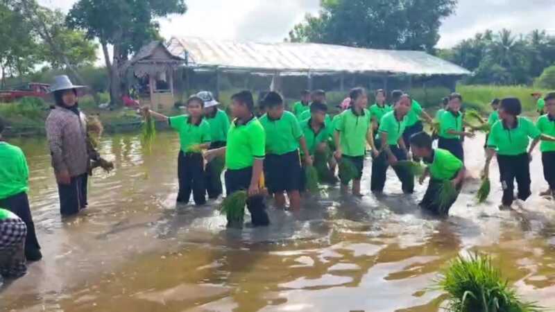 นักเรียนยุวเกษตรกร 6 โรงเรียน จับมือกันลงแขกดำนา เรียนรู้วิถีชาวนา ตามแนวปรัชญาเศรษฐกิจพอเพียง