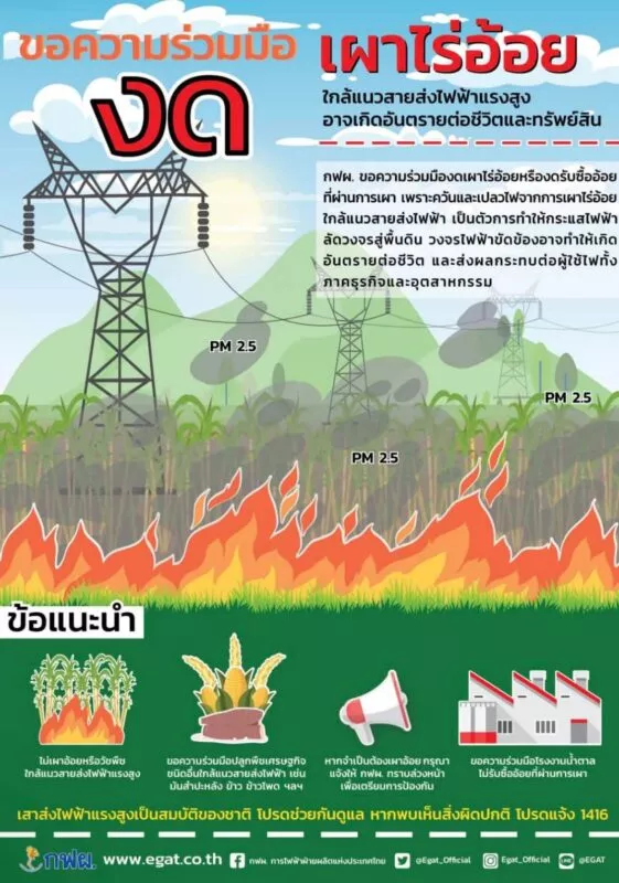 ประจวบคีรีขันธ์ _ กฟผ. ขอความร่วมมืองดเผาไร่อ้อย และวัชพืช