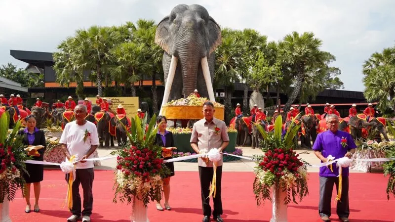 สวนนงนุชพัทยา จัดงานใหญ่วันช้างไทย 13 มีนาคมของทุกปีพร้อมเลี้ยงบุฟเฟต์ขันโตกผลไม้ยักษ์สูงกว่า 3 เมตร