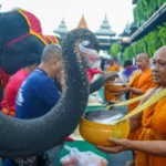 ช้างแสนรู้ สวนนงนุชพัทยานำช้าง 19 เชือก ทำบุญตักบาตรเนื่องในวันช้างไทย